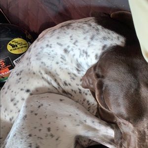 Meet your Posher, Jayden